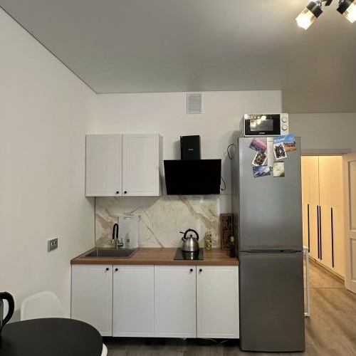 Студия проспект Ветеранов, 202