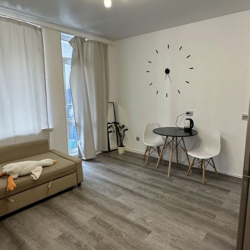 Студия проспект Ветеранов, 202