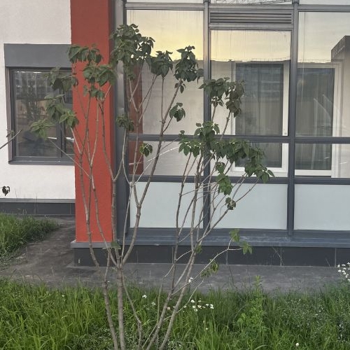 Студия проспект Буденного, 23к5