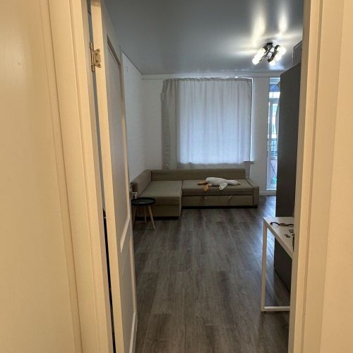 Студия проспект Ветеранов, 202