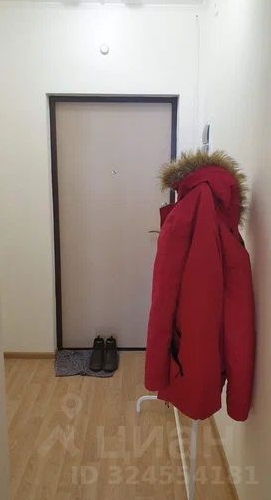 Студия проспект Ветеранов, 171к5