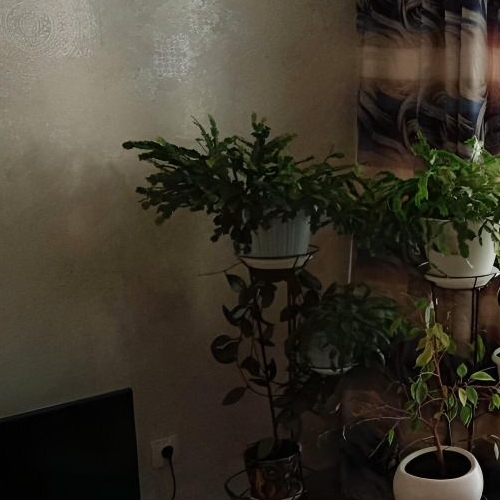 Студия улица Русановская, 19к1