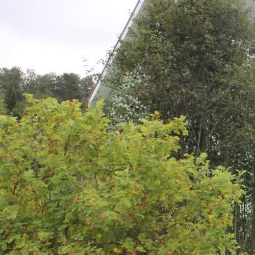 Коттедж/дом Лужки-2 СНТ, улица Урожайная,  д. 407