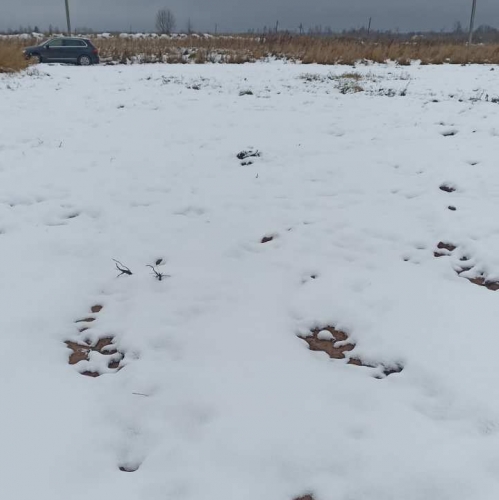 Земельный участок Старая Середка дер.