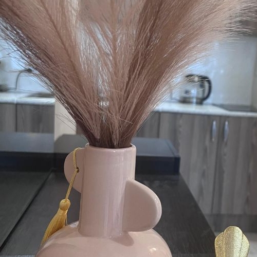 Студия улица Плесецкая, 21