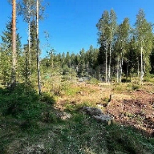 Земельный участок ДНП Лесной хут., д. Сарженка