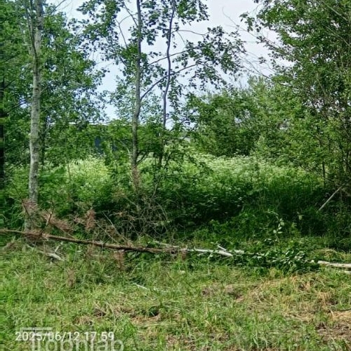 Земельный участок Зеленый лес дп,  д. 274
