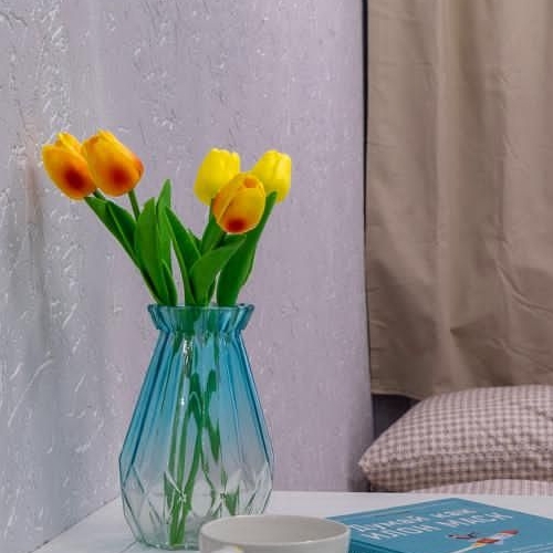 Студия улица Савушкина, 11