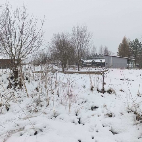 Земельный участок Луйсковицы