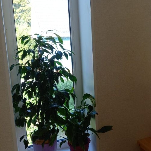 Коттедж/дом Ломоносов, Балтийская улица