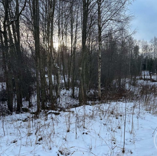 Земельный участок Белоостров массив, Поляна-2 снт.
