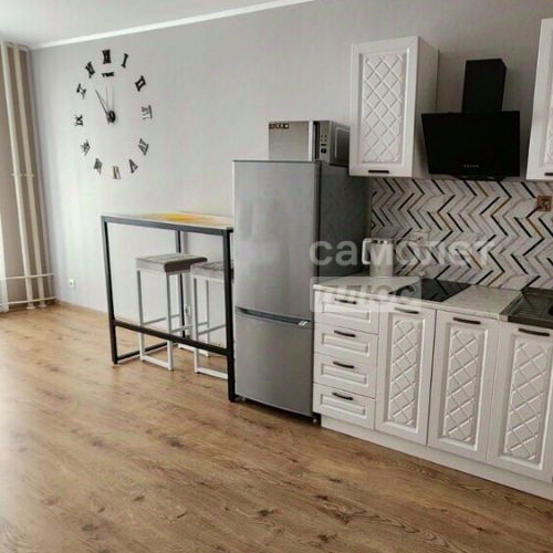 Студия пос. Парголово, проезд Толубеевский, 8к2