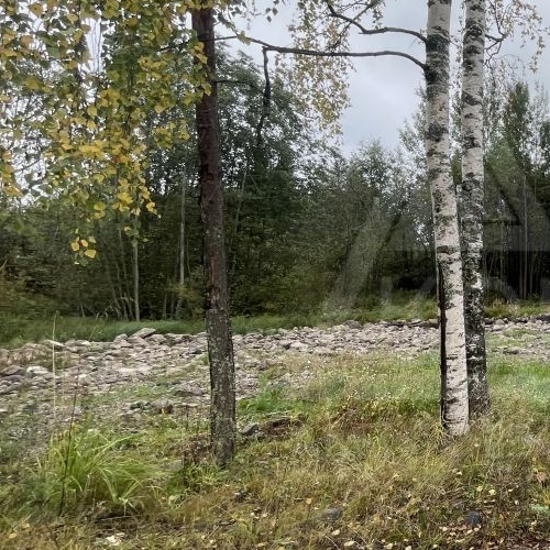 Коттедж/дом пос. Судаково, улица Магистральная, 25