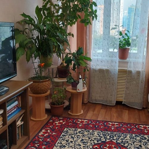 3-комн квартира Бухарестская улица, 67К1