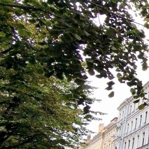 3-комн квартира Зверинская улица, 17аВ