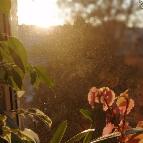 Комната улица Демьяна Бедного, 28к1