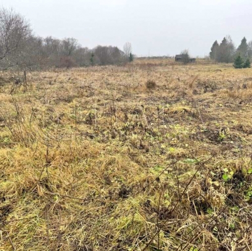 Земельный участок Озертицы, Озертицы д.