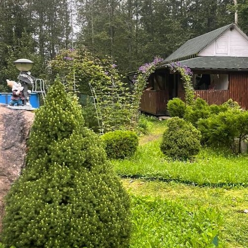 Коттедж/дом Мшинская садоводческий массив, Светоч СНТ