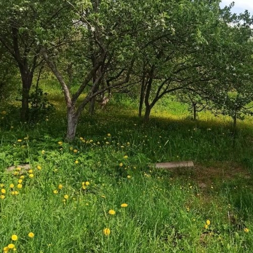 Коттедж/дом 3-й кв-л, Надежда ВМА имени Кирова СНТ,  д. 20