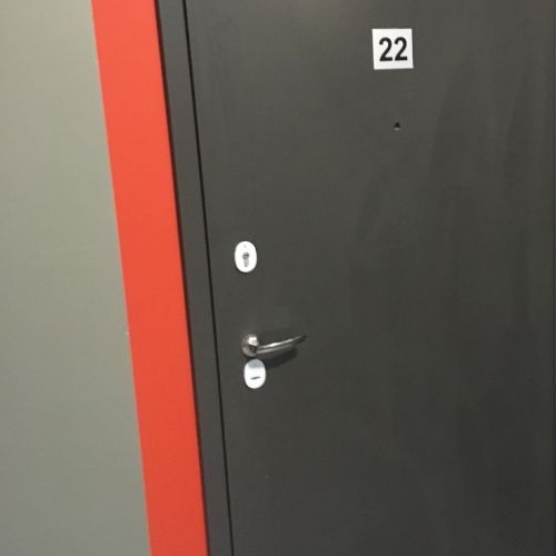 2-комн квартира Пушкин, улица Пущинская,  д. 3