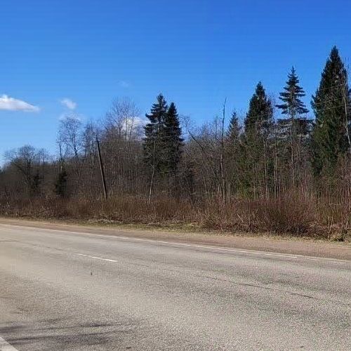 Земельный участок д. Болотово, 13