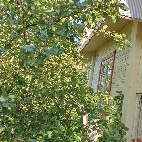 Коттедж/дом Мшинская садоводческий массив, Ручей СНТ,  д. 109