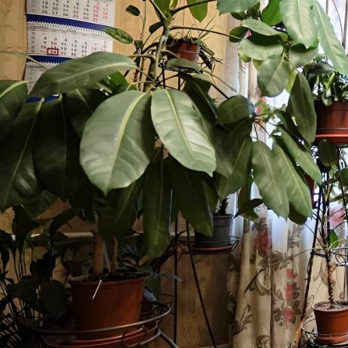 3-комн квартира улица Красного Текстильщика, 9-11