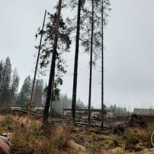 Земельный участок Сертолово г., Медное озеро 3 днп