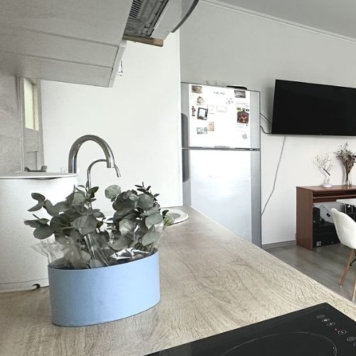 1-комн квартира д. Янино-2, улица Рябиновая, 5