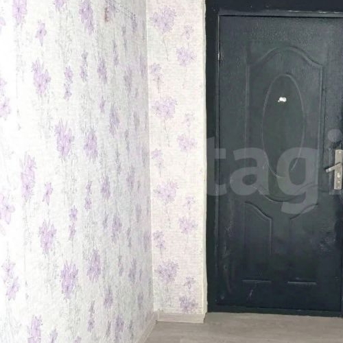 Студия пос. Шушары, Ленсоветовский тер., 23