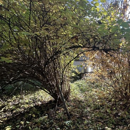 Коттедж/дом д. Межно, улица Заречная, 6