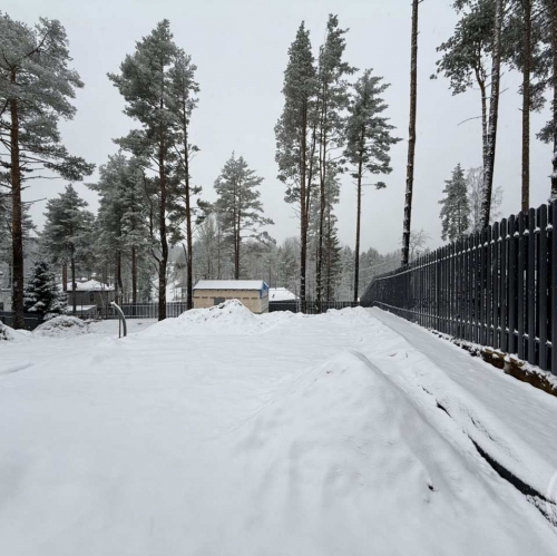 Земельный участок Куйвози массив, Лесное озеро кп