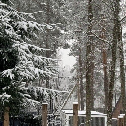 Земельный участок Лесное озеро кп,  д. 55