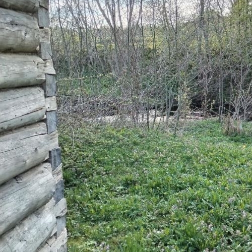 Земельный участок д. Чажешно, улица Правобережная,  д. 8