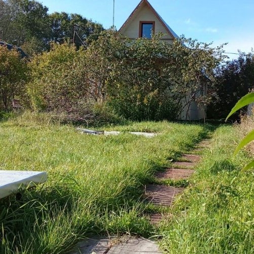 Коттедж/дом Мшинская садоводческий массив, Ручей СНТ,  д. 109