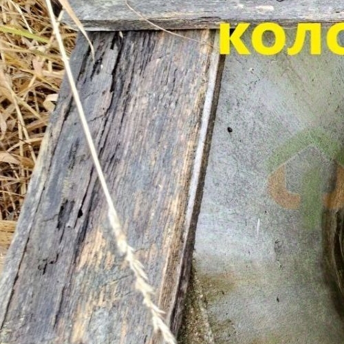 Коттедж/дом д. Горная Шальдиха, улица Сиреневая