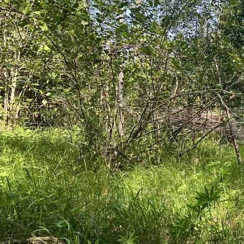 Земельный участок Посадников остров садоводческий массив, 8-я линия