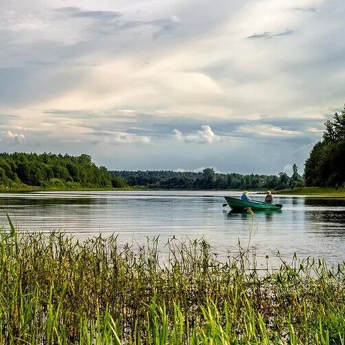 Коттедж/дом д. Мелекса, 16А