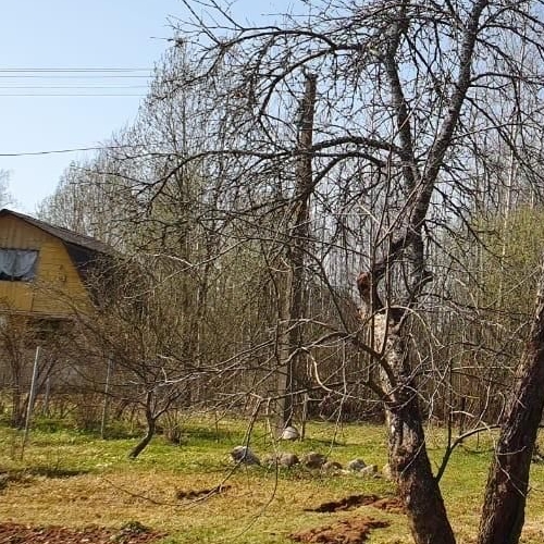 Коттедж/дом Дивенская садоводческий массив, Дружба СНТ