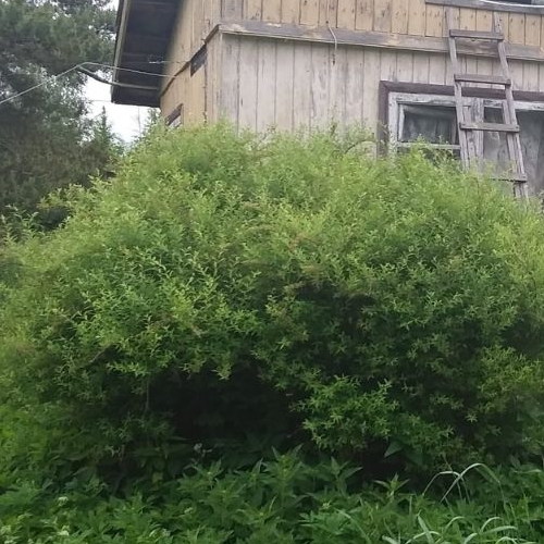 Коттедж/дом Пупышево садоводческий массив, Озон СНТ