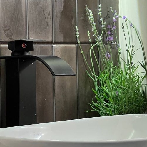 Студия улица Вадима Шефнера, 4