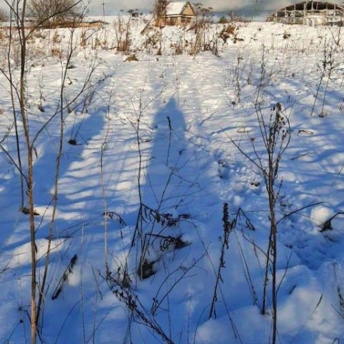 Земельный участок д. Старые Низковицы, 35