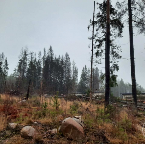 Земельный участок Сертолово г., Медное озеро 3 днп