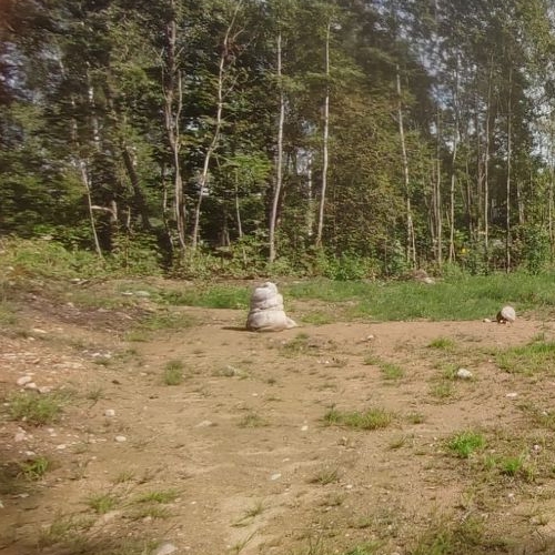 Земельный участок пос. Мичуринское, улица Заозерная