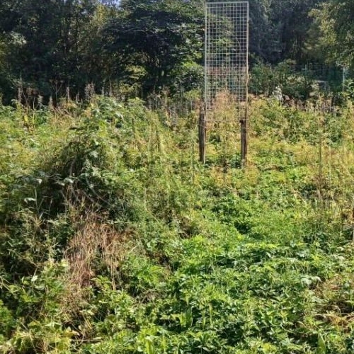 Коттедж/дом Гранит СНТ,  д. 209