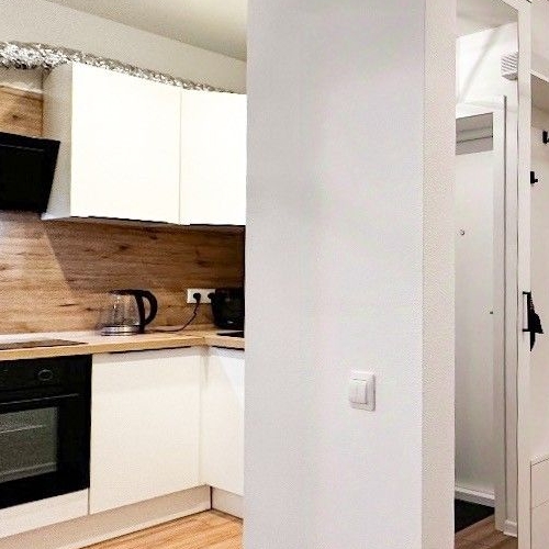 1-комн квартира Новоселье городской поселок, улица Невская, 17к1