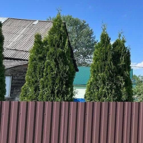 Коттедж/дом д. Городище, улица Октябрьская