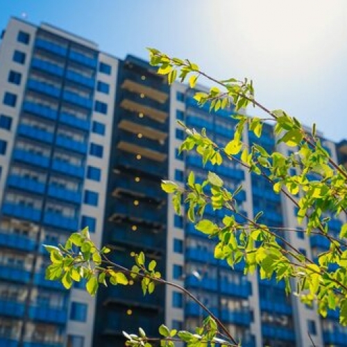 1-комн квартира Мурино г, Графская ул,  д. 6 к4