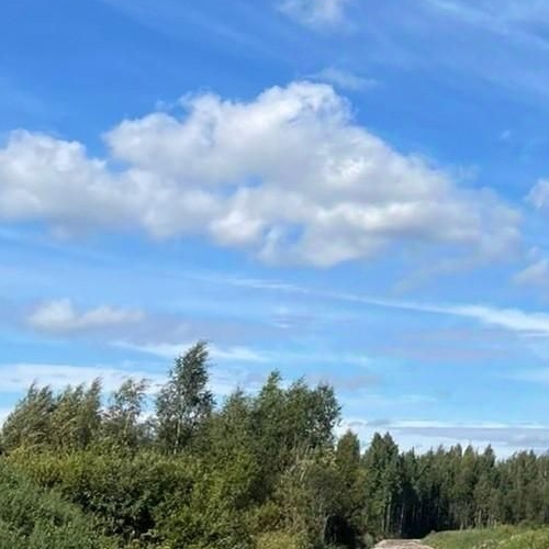 Земельный участок Всеволожск, улица Рубцова, 63