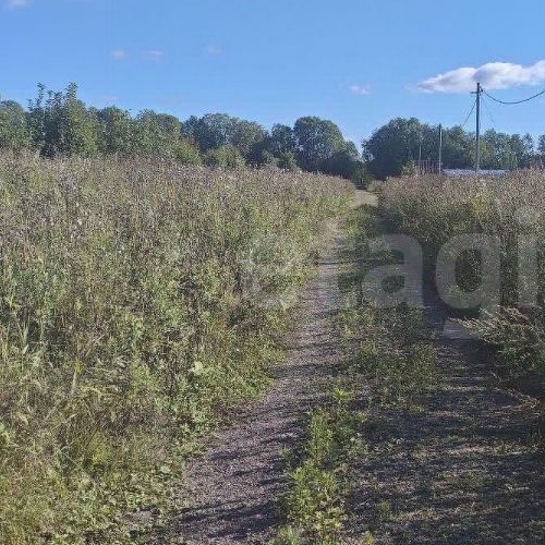 Коттедж/дом д. Посадница, 21